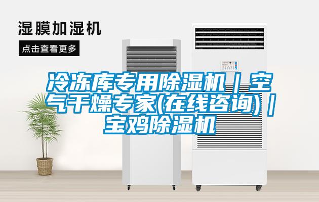 冷冻库专用除湿机｜空气干燥专家(在线咨询)｜宝鸡除湿机