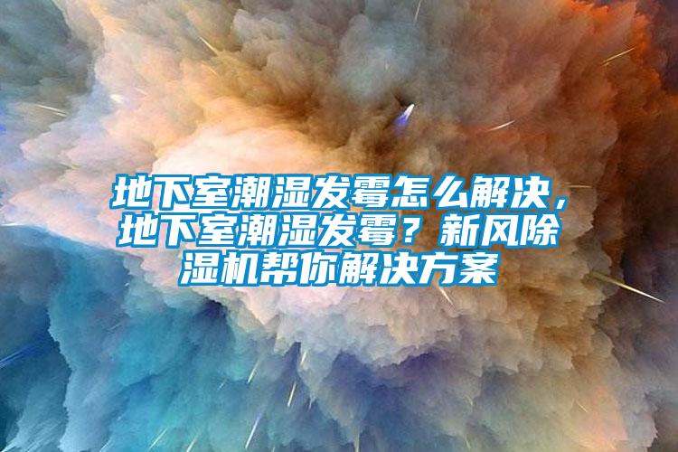 地下室潮湿发霉怎么解决，地下室潮湿发霉？新风除湿机帮你解决方案