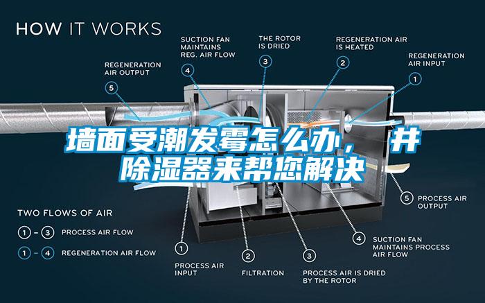 墙面受潮发霉怎么办，東井除湿器来帮您解决