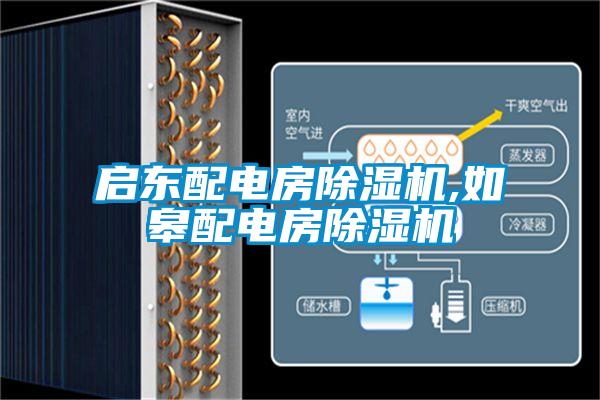 启东配电房除湿机,如皋配电房除湿机