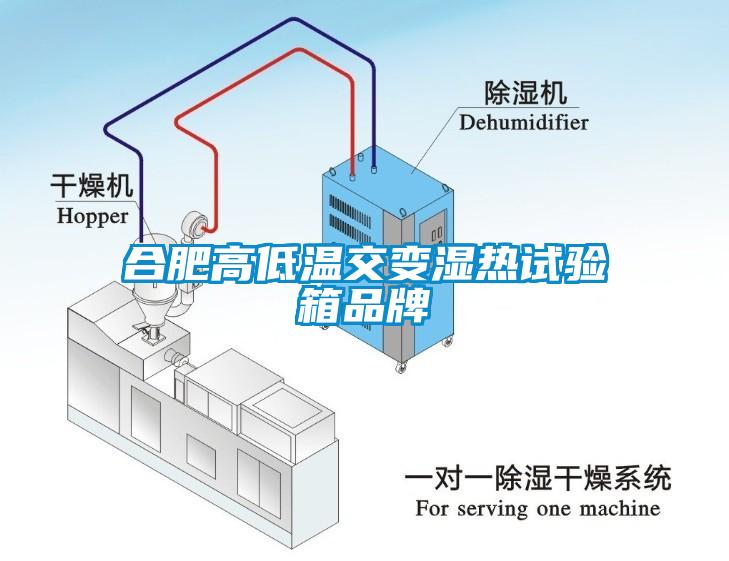 合肥高低温交变湿热试验箱品牌