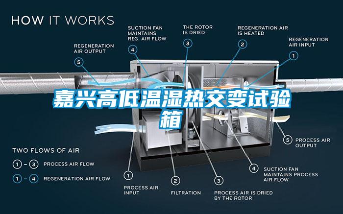 嘉兴高低温湿热交变试验箱