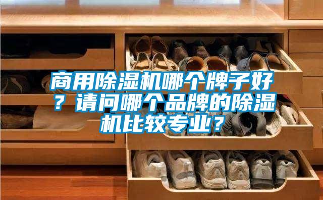 商用除湿机哪个牌子好？请问哪个品牌的除湿机比较专业？