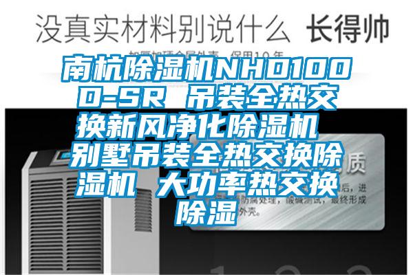 南杭除湿机NHD100D-SR 吊装全热交换新风净化除湿机 别墅吊装全热交换除湿机 大功率热交换除湿