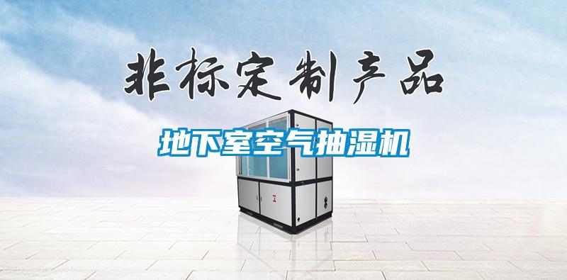 地下室空气抽湿机