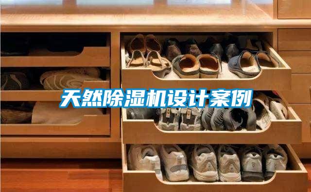 天然除湿机设计案例