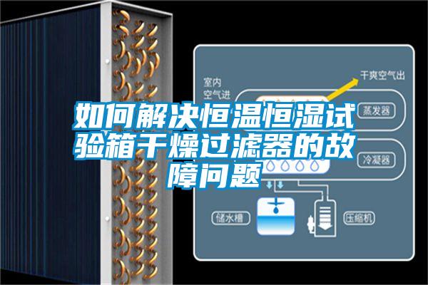 如何解决恒温恒湿试验箱干燥过滤器的故障问题