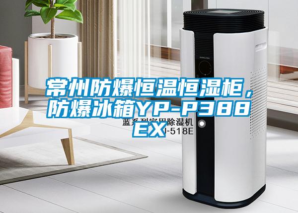 常州防爆恒温恒湿柜，防爆冰箱YP-P388EX