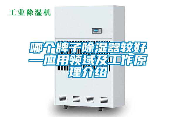 哪个牌子除湿器较好—应用领域及工作原理介绍