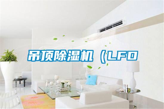 吊顶除湿机（LFD