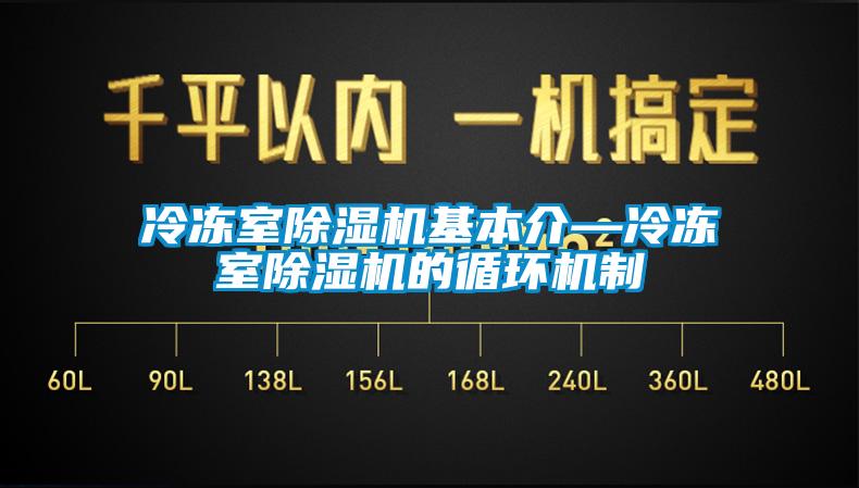 冷冻室除湿机基本介—冷冻室除湿机的循环机制