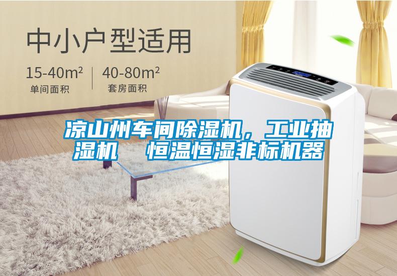 凉山州车间除湿机，工业抽湿机  恒温恒湿非标机器
