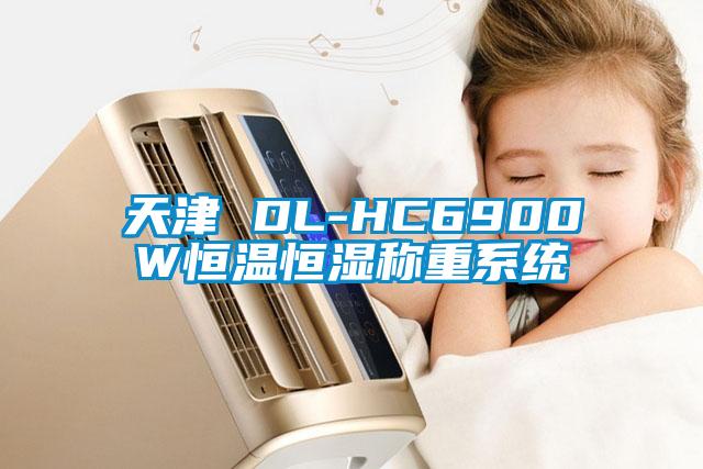 天津 DL-HC6900W恒温恒湿称重系统