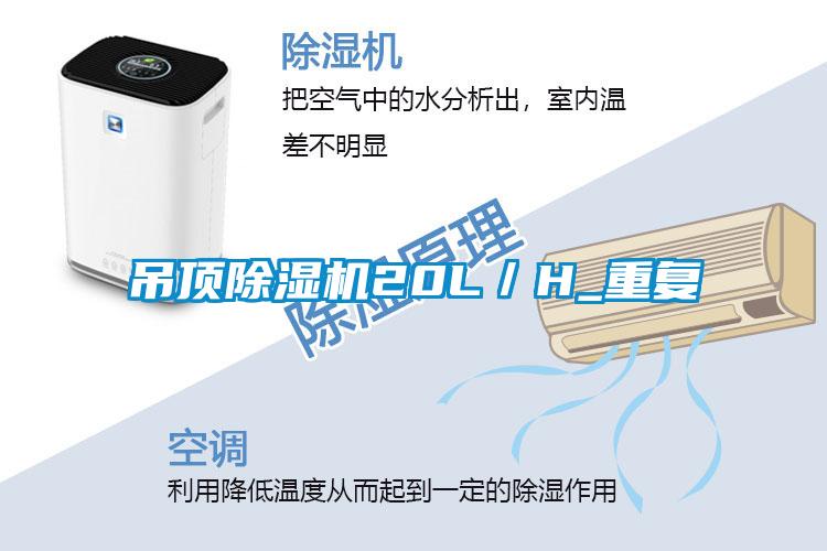 吊顶除湿机20L／H_重复