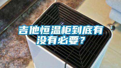 吉他恒温柜到底有没有必要？