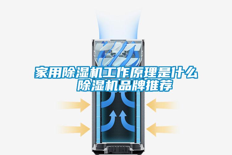 家用除湿机工作原理是什么  除湿机品牌推荐