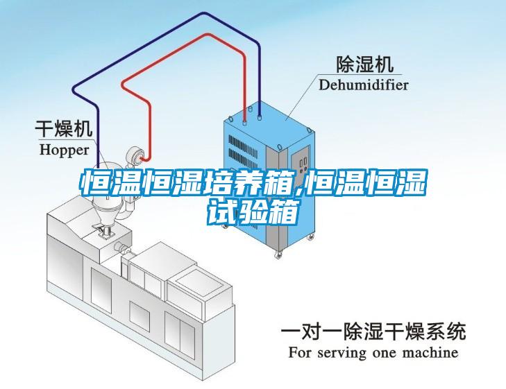 恒温恒湿培养箱,恒温恒湿试验箱