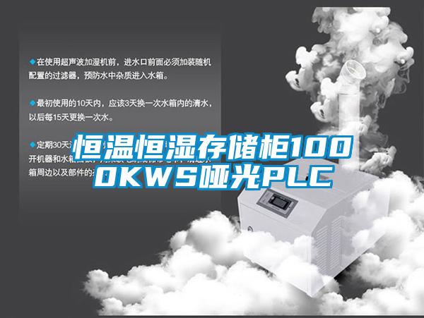 恒温恒湿存储柜1000KWS哑光PLC