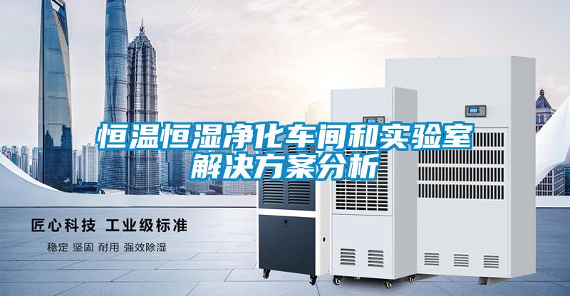 恒温恒湿净化车间和实验室解决方案分析