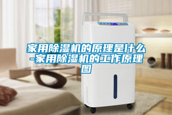 家用除湿机的原理是什么-家用除湿机的工作原理图