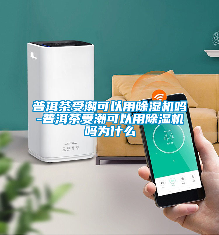 普洱茶受潮可以用除湿机吗-普洱茶受潮可以用除湿机吗为什么