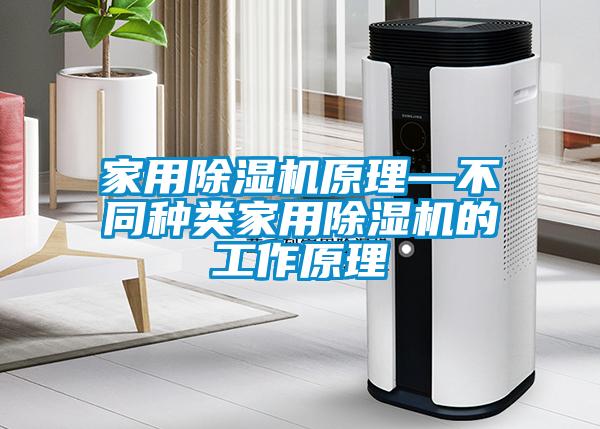 家用除湿机原理—不同种类家用除湿机的工作原理