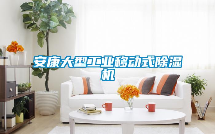 安康大型工业移动式除湿机