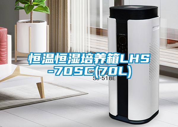 恒温恒湿培养箱LHS-70SC(70L)