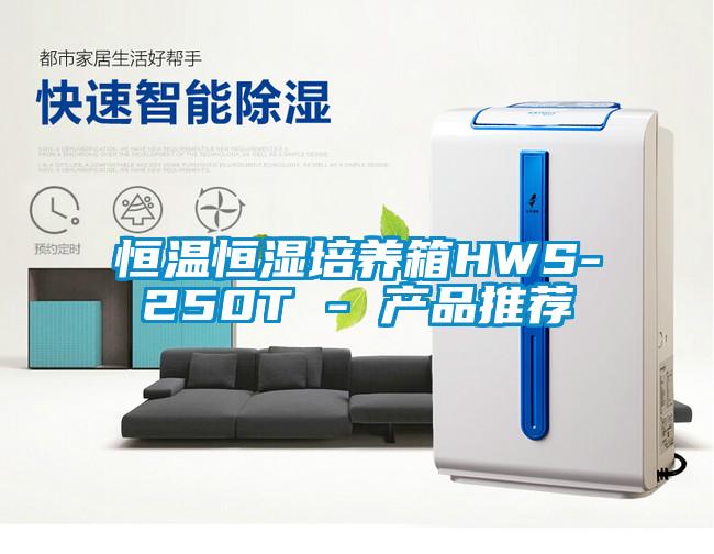 恒温恒湿培养箱HWS-250T - 产品推荐