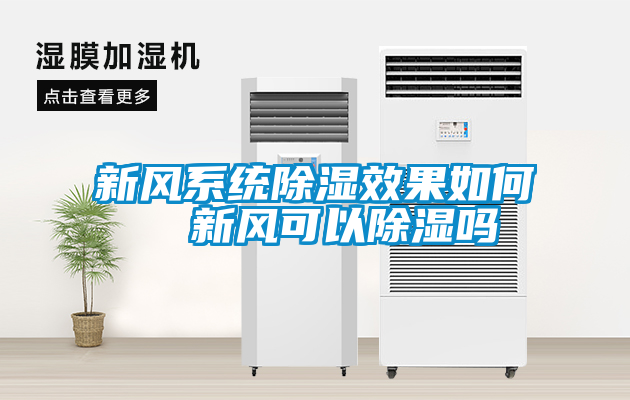 新风系统除湿效果如何  新风可以除湿吗