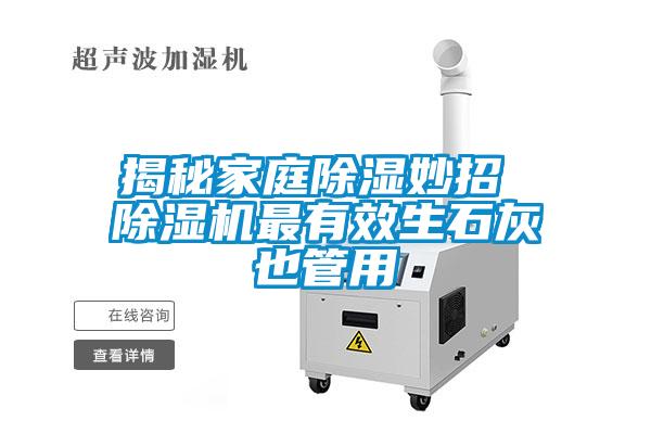 揭秘家庭除湿妙招 除湿机最有效生石灰也管用