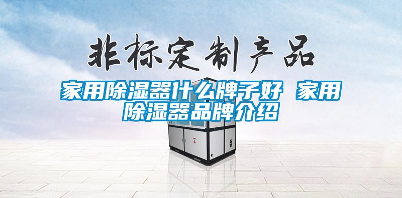 家用除湿器什么牌子好 家用除湿器品牌介绍
