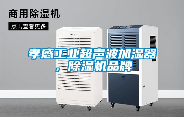 孝感工业超声波加湿器，除湿机品牌