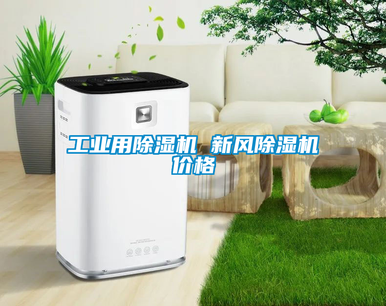 工业用除湿机 新风除湿机价格