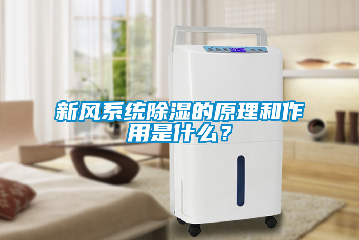 新风系统除湿的原理和作用是什么？