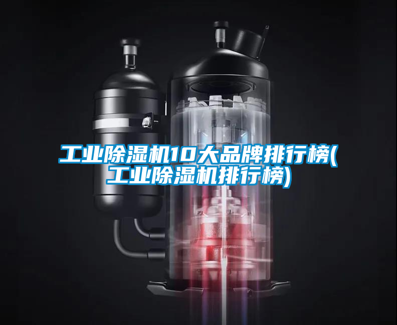 工业除湿机10大品牌排行榜(工业除湿机排行榜)