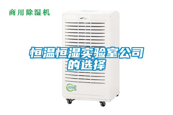 恒温恒湿实验室公司的选择