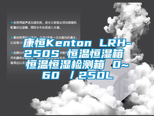 康恒Kenton LRH-250S 恒温恒湿箱 恒温恒湿检测箱 0~60℃／250L