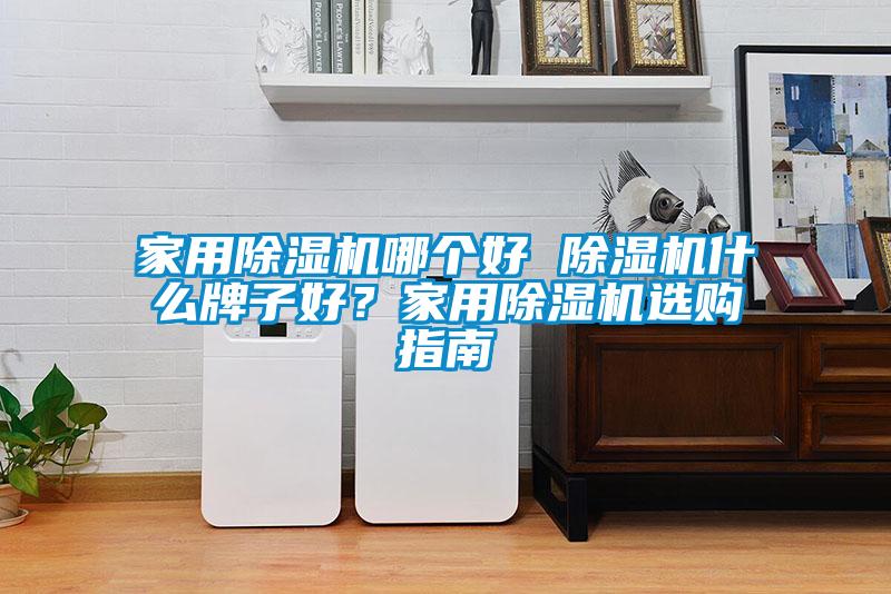 家用除湿机哪个好 除湿机什么牌子好？家用除湿机选购指南