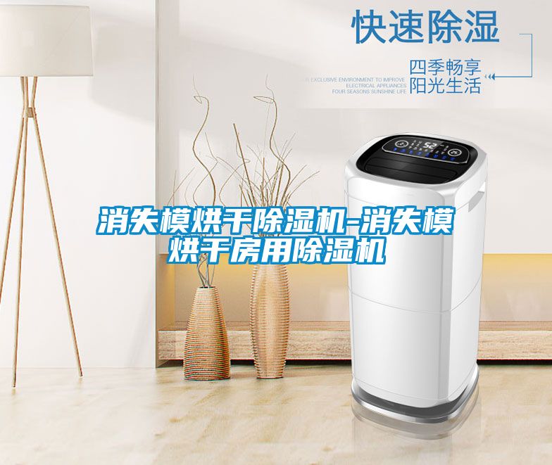 消失模烘干除湿机-消失模烘干房用除湿机