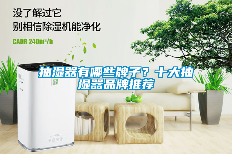 抽湿器有哪些牌子？十大抽湿器品牌推荐