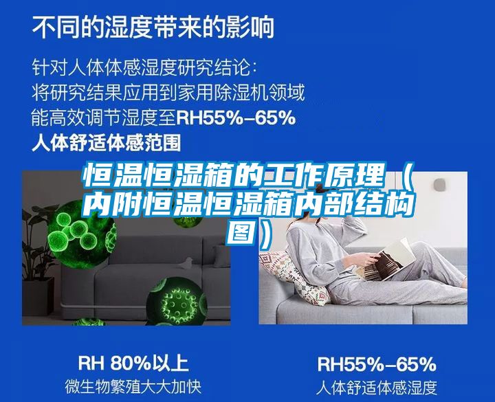 恒温恒湿箱的工作原理（内附恒温恒湿箱内部结构图）