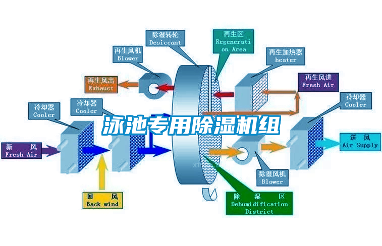 泳池专用除湿机组