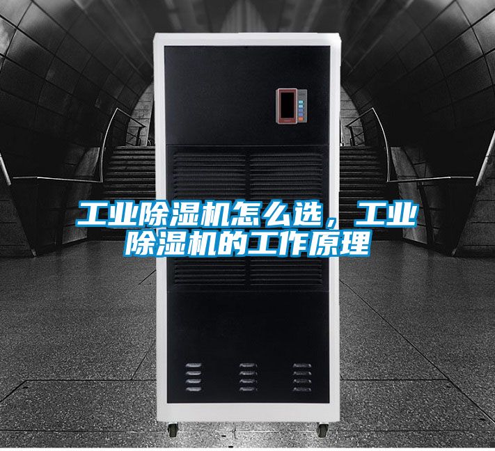 工业除湿机怎么选，工业除湿机的工作原理