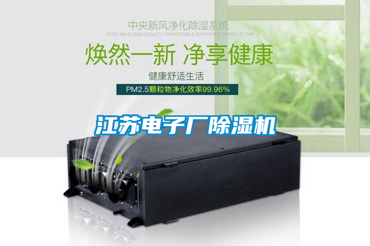 江苏电子厂除湿机