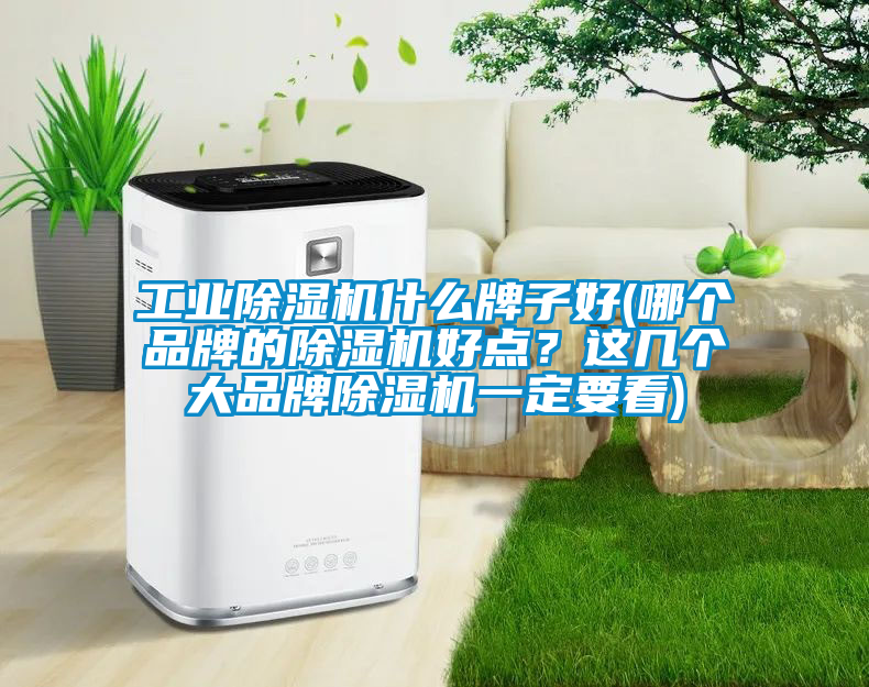 工业除湿机什么牌子好(哪个品牌的除湿机好点？这几个大品牌除湿机一定要看)