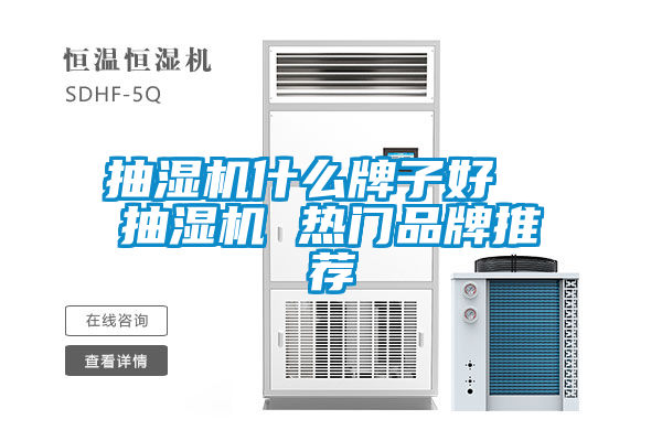 抽湿机什么牌子好  抽湿机 热门品牌推荐
