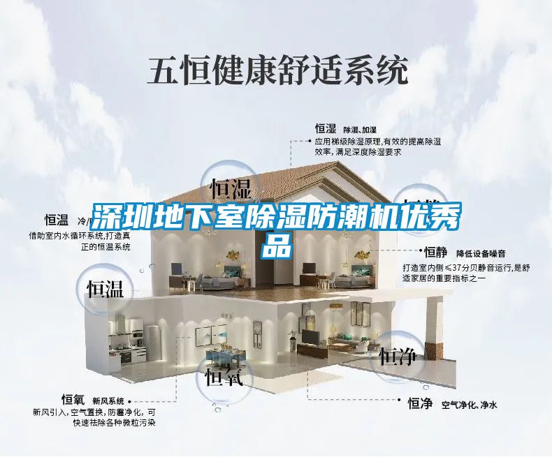 深圳地下室除湿防潮机优秀品