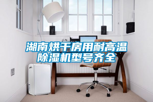 湖南烘干房用耐高温除湿机型号齐全