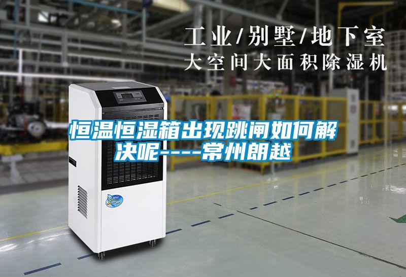 恒温恒湿箱出现跳闸如何解决呢----常州朗越